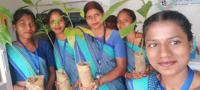 Teachers on World Environment Day 2025